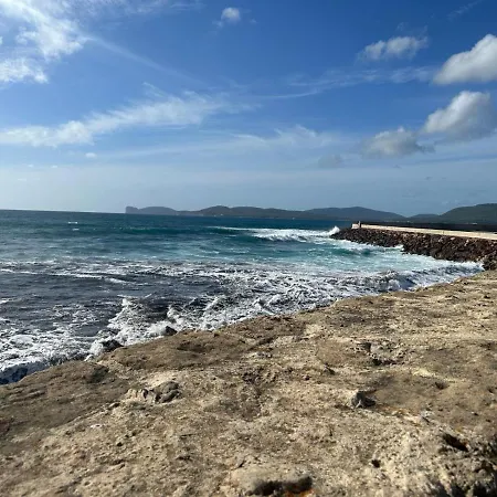 Alma Di